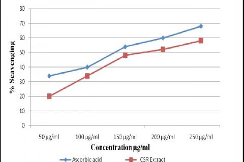 Effect of CSR on DPPH radical scavenging activity.