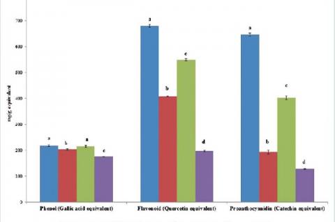 Phytochemical content of the different solvent fractions of Phragmanthera capitata in standard equivalents Values are mean ± standard deviation of three replications. Set of bars with different letters are significantly different (P < 0.05)