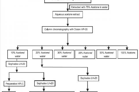 Scheme of isolation process