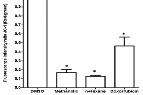Comparison of percentages of apoptosis induced by methanolic extract and its n‑hexane fraction of three‑independent experiments in HeLa cells, using caffeic acid phenethyl ester and DMSO as negative and positive controls, respectively. *Statistical significance on the comparison with the negative control, P < 0.05
