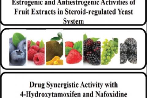 Detection of Estrogenic, Antiestrogenic, and Drug Synergistic Activities of Seven Commercially Available Fruits by In Vitro Reporter Assays