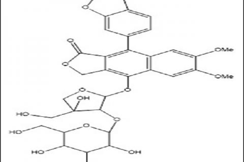 rocumbenoside B isolated from methanol extract of Justicia spicigera