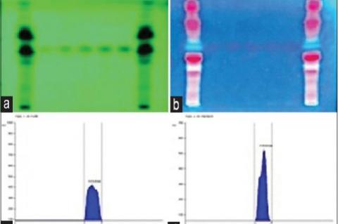 (a‑d) Quantitative estimation of piperine in extract of Piper sylvaticum roots using high‑performance thin‑layer chromatography