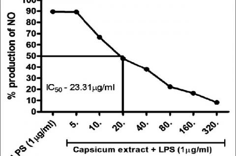 Graphical representation of effect of capsicum extract on production of nitric oxide production in lipopolysaccharide stimulated RAW264.7 macrophages