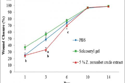 Percentage of wound closure between groups of treatment on different days. Values presented as mean ± standard error mean. Significant difference (P < 0.05) between (a) 5% Zingiber zerumbet rhizome ethyl acetate extract with phosphate‑buffered saline, (b) 5% Zingiber zerumbet rhizome ethyl acetate extract with solcoseryl gel; (c) day of treatment with previous day of treatment. Z. zerumbet: Zingiber zerumbet; PBS: Phosphate‑buffered saline