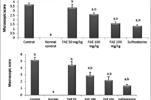 Extent of colonic damage according to macroscopic and microscopic scores in acetic acid‑treated rats. Values are mean ± standard error of the mean. Ferulago angulata (Schltdl.) Boiss. hydroalcoholic extract‑50: Ferulago angulata at dose of 50 mg/kg/day, Ferulago angulata (Schltdl.) Boiss. hydroalcoholic extract‑100: Ferulago angulata at dose of 100 mg/kg/day and Ferulago angulata (Schltdl.) Boiss. hydroalcoholic extract‑200: Ferulago angulata at dose of 200 mg/kg/day. (a) Significantly different from contro