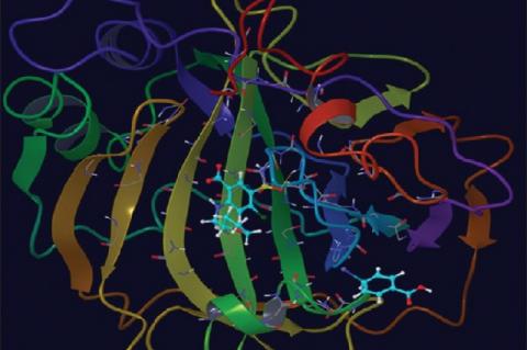 X‑ray crystal structure of human carbonic anhydrase‑II in co‑complex with furosemide (PDB ID: 1Z9Y)