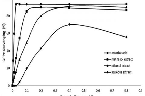 Inhibitory Effects of Ficus deltoidea Extracts on UDP‑glucuronosyltransferase and Glutathione S‑transferase Drug‑Metabolizing Enzymes