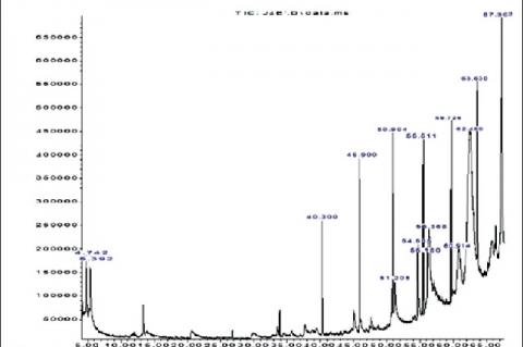 Gas Chromatography–Mass Spectrometry Analysis of the Volatile Compounds from the Ethanol Extracts of Bulbine asphodeloides and Helichrysum petiolare