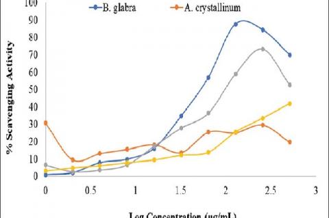 Evaluation of Antioxidant and Analgesic Activities of Three Medicinal Plants