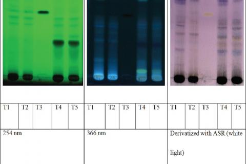 High‑Performance Thin‑Layer Chromatography Estimation of Boeravinone‑B in Boerhavia diffusa L. and its Polyherbal Dosage Form (Capsule)