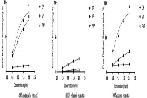 Comparative Evaluation of in vitro Antioxidant Activities and High‑Performance Liquid Chromatography Fingerprinting of Fruit Peels Collected from Food Processing Industry Wastes