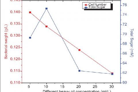 Production of Antioxidant Exopolysaccharide from Pseudomonas aeruginosa Utilizing Heavy Oil as a Solo Carbon Source