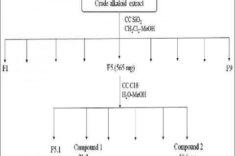 Two Lycopodium Alkaloids from the Aerial Parts of Huperzia phlegmaria