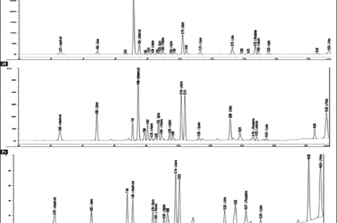 Chromatograms of free amino acids of Zea mays raw materials: (а) silk; (b) leaves; (c) roots