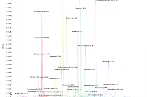 The relative abundance of phenolic compounds in sage leaves ‑ Soxhlet extraction analyzed through ultra‑high‑performance liquid chromatography coupled electrospray ionization quadrupole time‑of‑flight mass spectrometry (intensity of phenolic compounds vs. elution time)