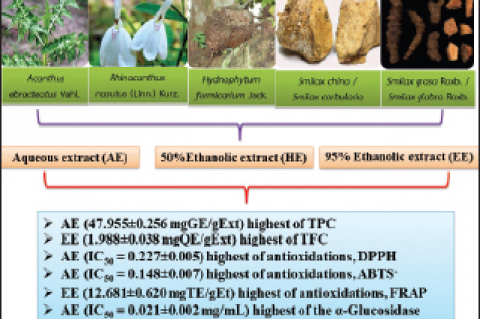 Graphical Abstract