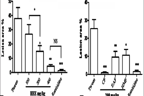 (a) Effect of the hydroethanol extract obtained from leaves of Solanum stipulaceum (100, 200, and 400 mg/kg) and ranitidine (50 mg/kg) against gastric ulcers induced by ethanol administration