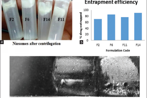 Niosmal formulation after centrifugation, (b) niosomal gel formulation and (c) entrapment efficiency (niosomal solution)