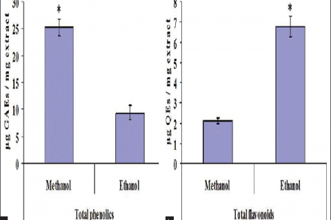 Total phenolic (a) and flavonoid (b) contents in the methanol and ethanol extracts of Leucaena leucocephala pod seed. (*) represent statistically significant values. GAEs: Gallic acid equivalent; QEs: Quercetin equivalent