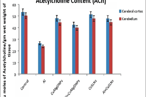 Effect of curcumin loaded magnesium oxide nanoparticles and curcumin loaded solid lipid nanoparticles on acetylcholine content in different brain regions (cerebral cortex: Cerebellum) of albino rats exposed to Al