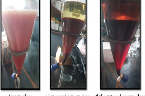 Fractionation of bark extract in n-hexane and ethyl acetate through separating funnel for thin.layer chromatographic analysis