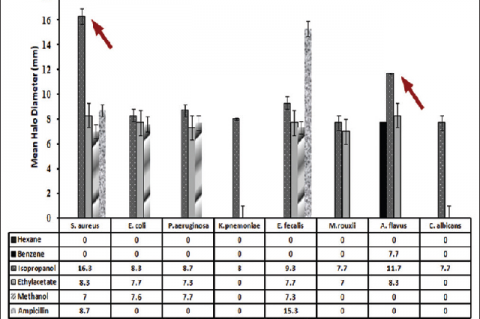 Antibacterial activity of solvent extracts of Zingiber nimmonii rhizome determined by agar well diffusion method