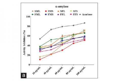 In vitro Antidiabetic and Antioxidant Properties of Dioecious Morus alba (Moraceae) Extracts