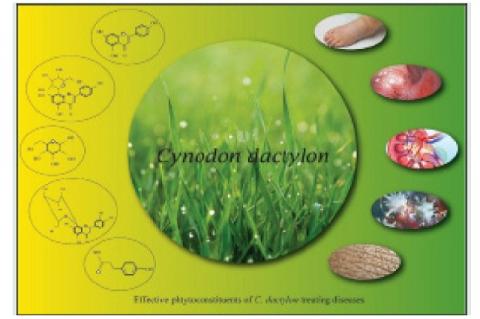 Graphical Abstract