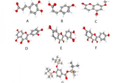 Structure of compounds present in Carica papaya