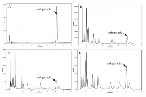 Potential Cosmeceutical Applications and Evaluation of Human Skin Irritation of Tagetes erecta L. Flower Extract