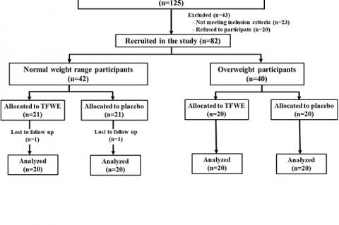 Flow chart of participants.