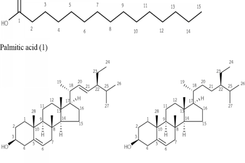 Structures of isolated compounds of Hydnophytum formicarum Jack.