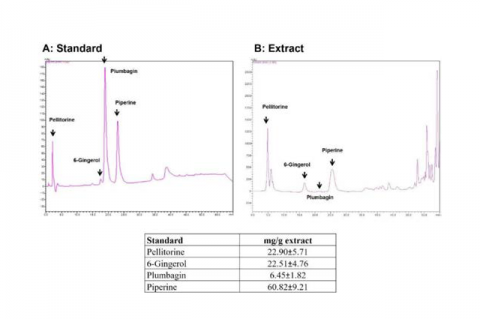 High-performance liquid chromatography chromatogram of active compounds in Benjakul extracts, (A) Standard (B) Benjakul extract.