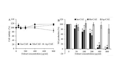 The effect of Im-CAE, Ma-CAE and Ag-CAE extracts on the cell viability (A) and NO production of RAW264.7 cells in the presence of LPS (B).