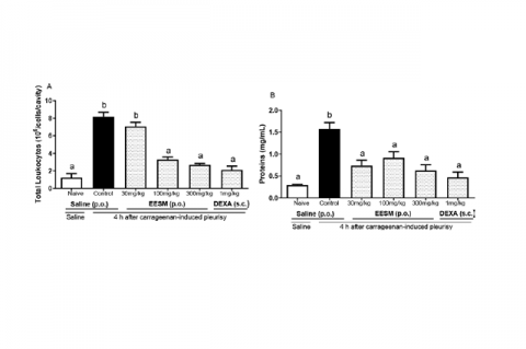 Effect of EESM oral administration on (A) leukocyte migration x 106 cells/cavity, (B) proteins (mg/ml) induced by intrapleural injection of