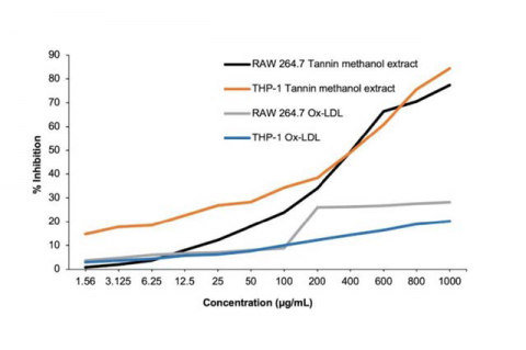 Cytotoxicity assay by MTT. (n = 3)