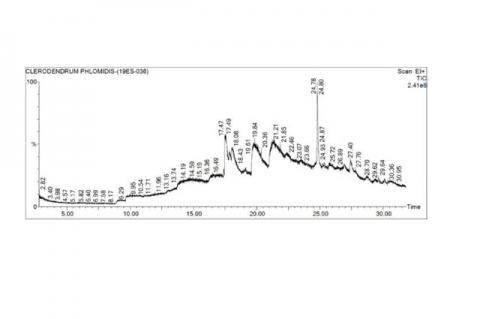 GC-MS analysis of alcoholic leaf extract of Clerodendrum phlomides