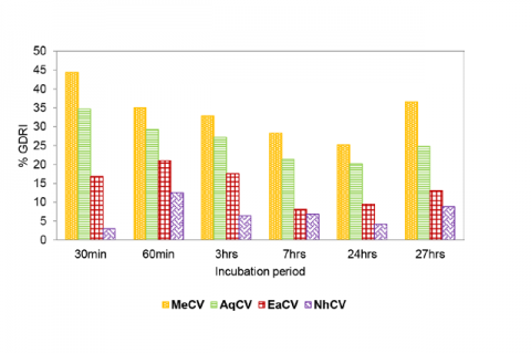 Effect of various extracts obtained from C. viscosa on the percentage of GDRI.