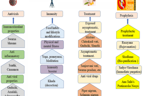 Various properties of Ayurveda medicine and its effect on COVID-19.