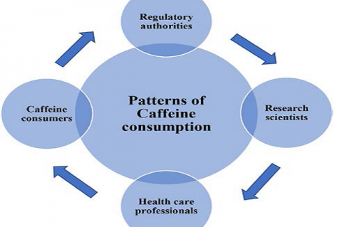 Patterns of Caffeine Consumption in Western Province of Saudi Arabia