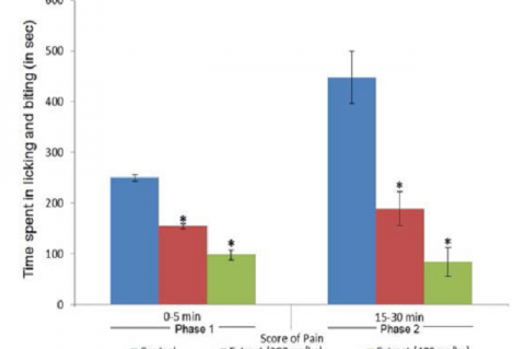 Antinociceptive effect of Brassica campestris leaves extract in rats in the formalin test.