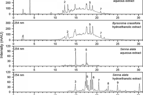 Chromatogram of the aqueous and hydroethanolic extracts of Senna alata and Byrsonima crassifolia at 254 nm