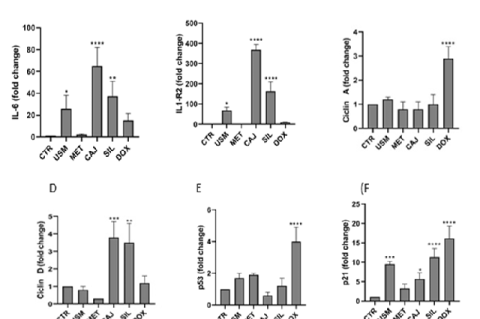 Four Colombian EEPs (USM, CAJ and SIL: 25 μg/mL; MET: 50 μg/ mL) were evaluated after 48 hr of exposure, on the relative expression of the (A) IL-6 and (B) IL-1R2. (C) CCNA2; (D) CCND1;