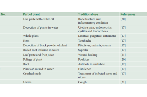 Traditional uses of Pupalia lappacea.