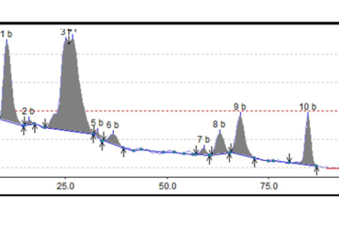 Densitogram at 254 nm for chloroform extract of C. quadrangularis (with round stem).