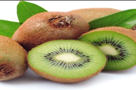 Actinidia deliciosa