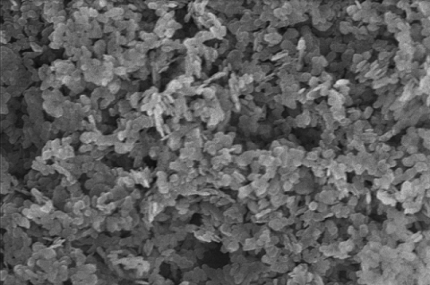 SEM image of nutmeg and flaxseed extract-mediated Zinc Oxide nanoparticles