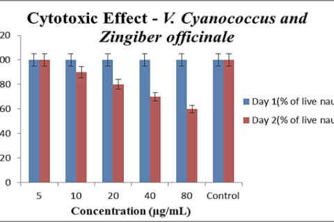 Cytotoxicity of biocomposite on Artemia salina at 5-80 μg/mL after 24 and 48 hr.