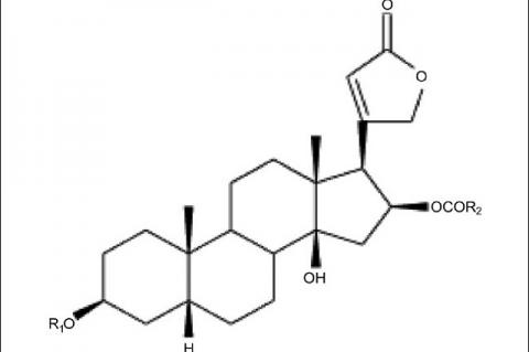 Chemical structures of cardiac glycosides